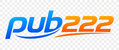 pub222 logo